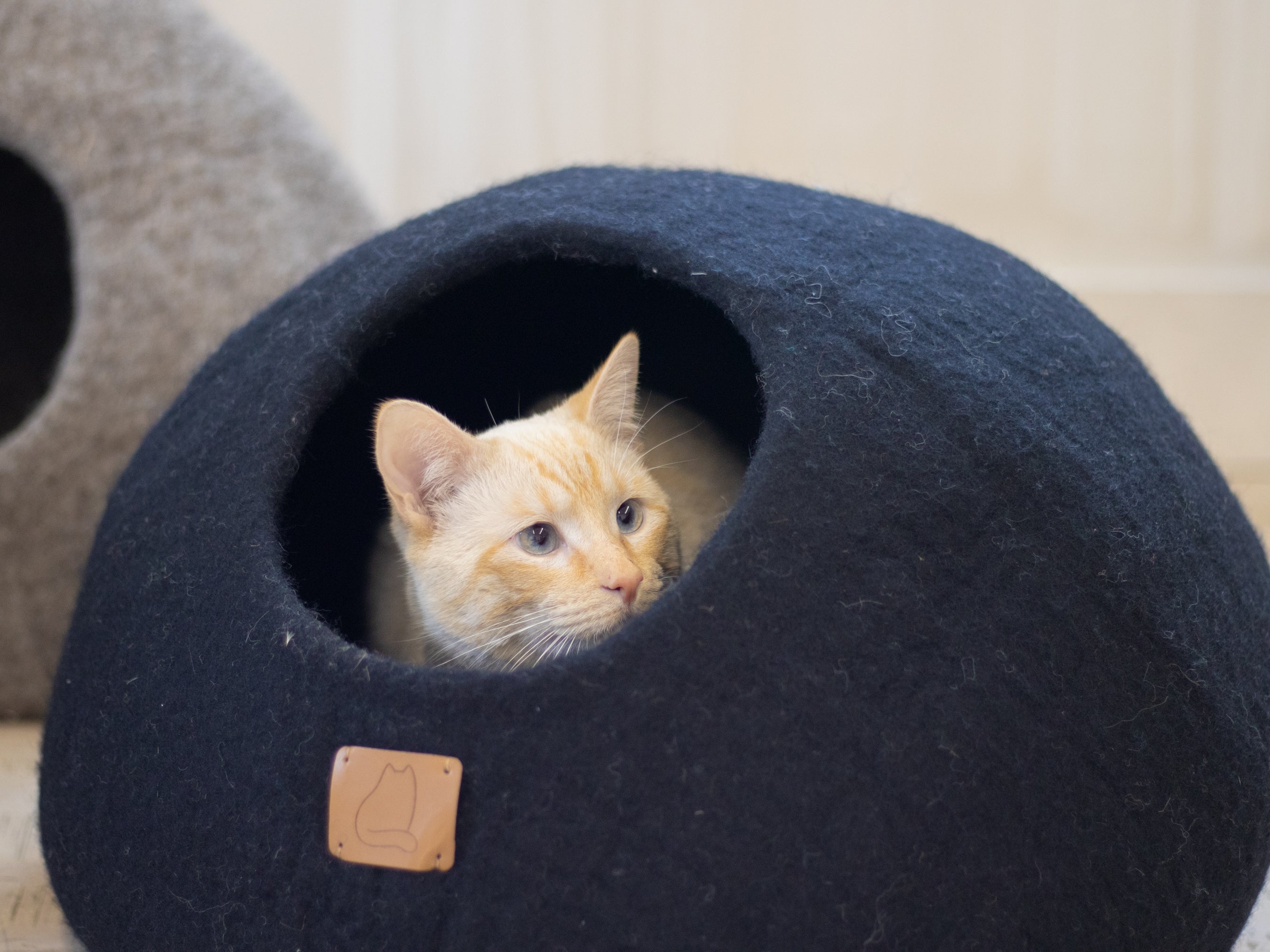 Premium Felted Wool Cat Cave Bed — Night Black