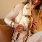 Hemp Cotton Dog Collar