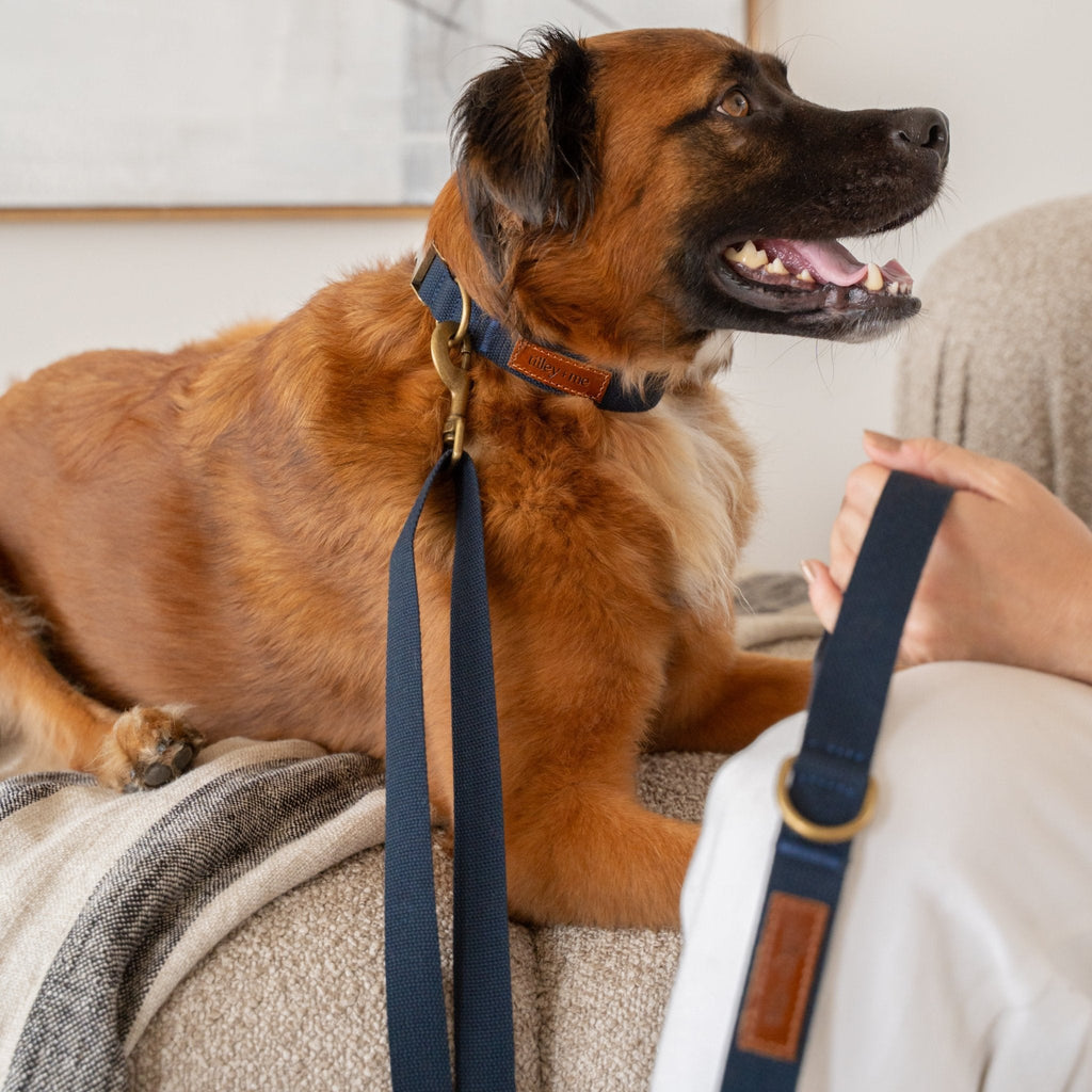 Hemp Cotton Dog Collar