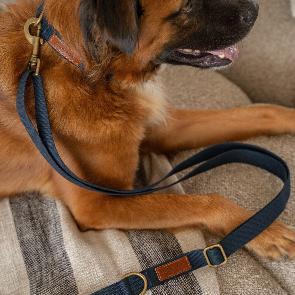 Hemp Cotton Dog Collar