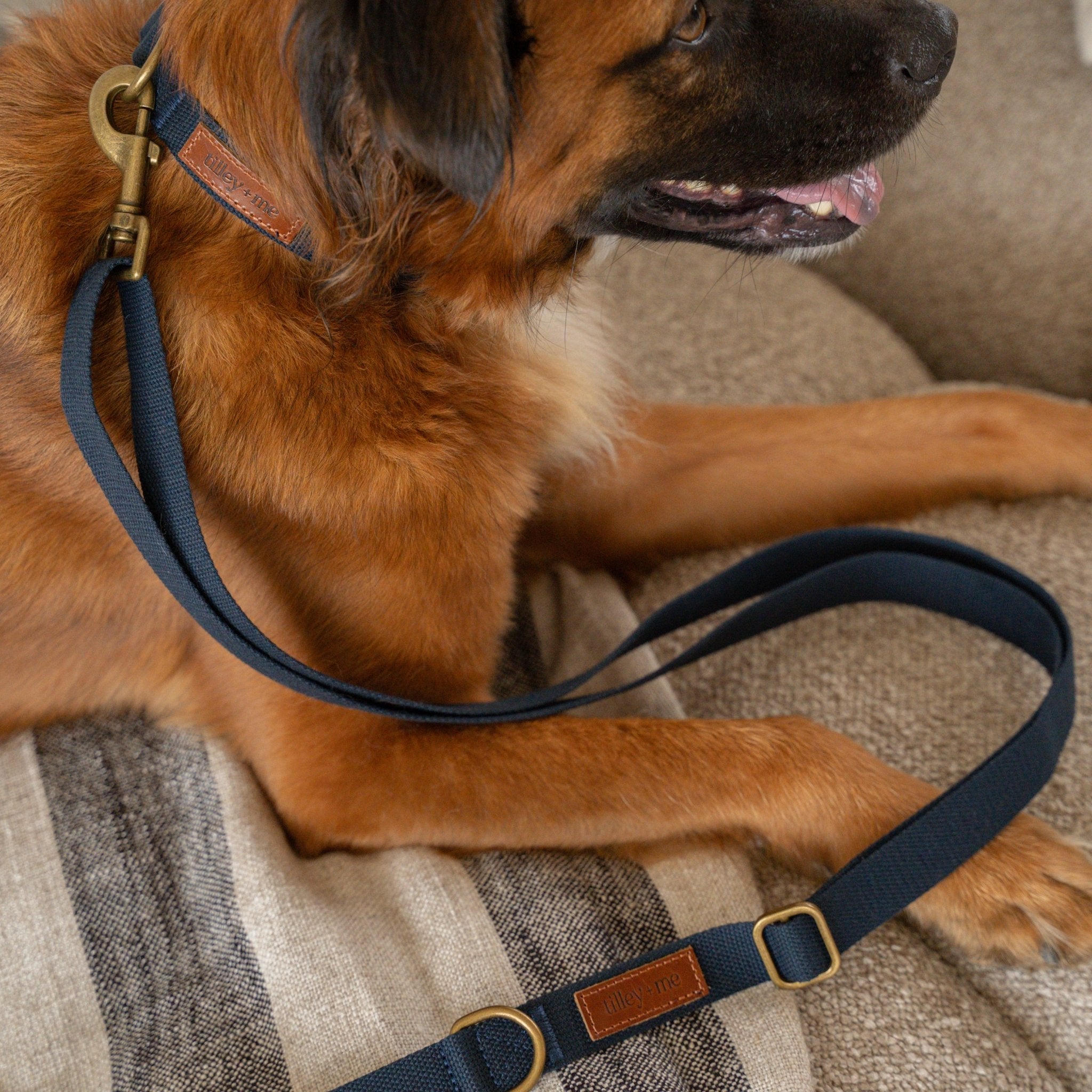 Hemp Cotton Dog Collar