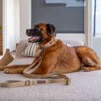 Hemp Cotton Dog Collar
