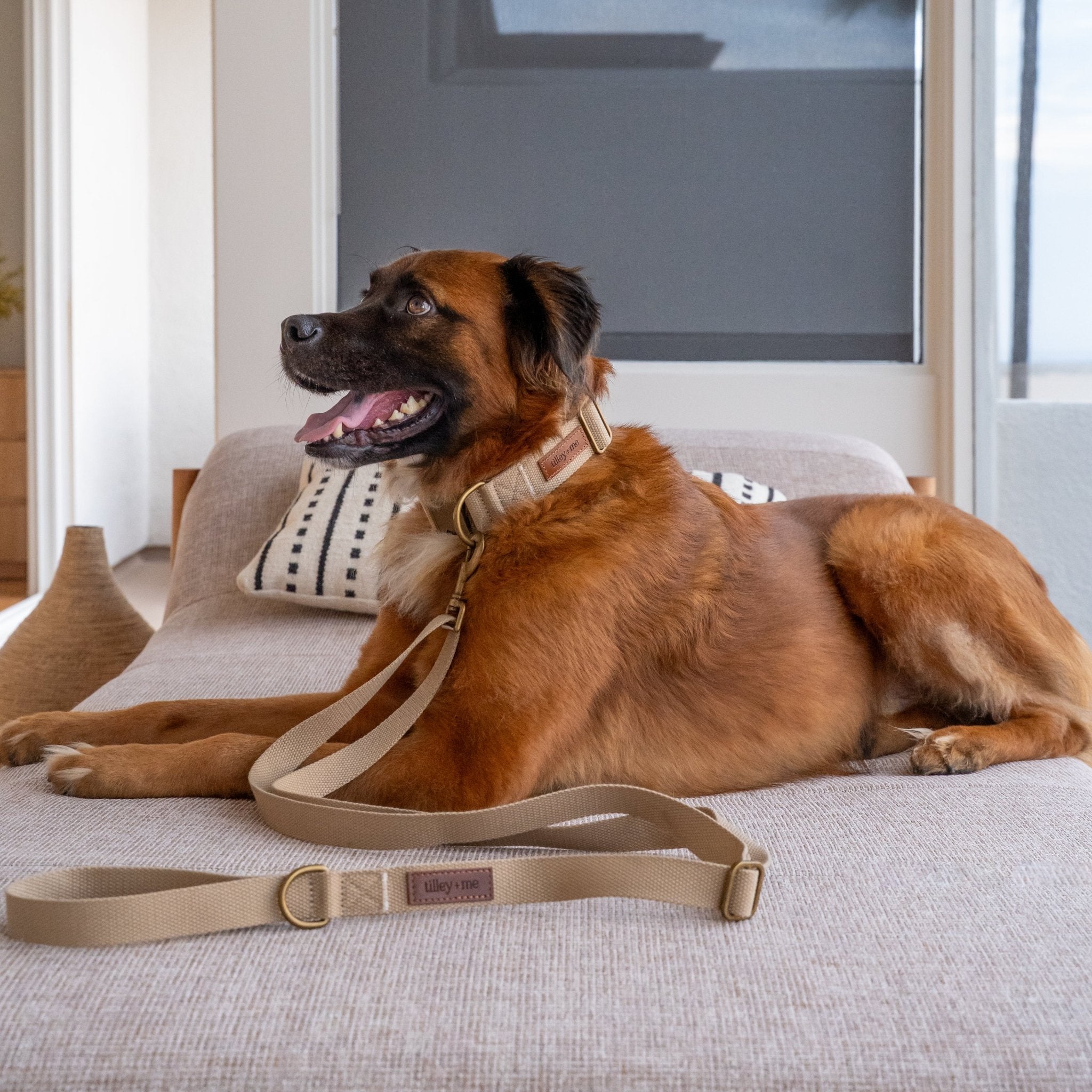 Hemp Cotton Dog Collar