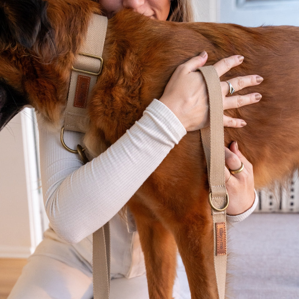Hemp Cotton Dog Collar