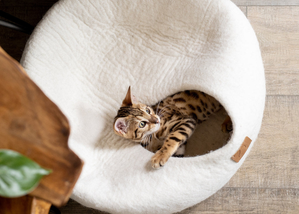 Felted Wool Cat Cave Bed