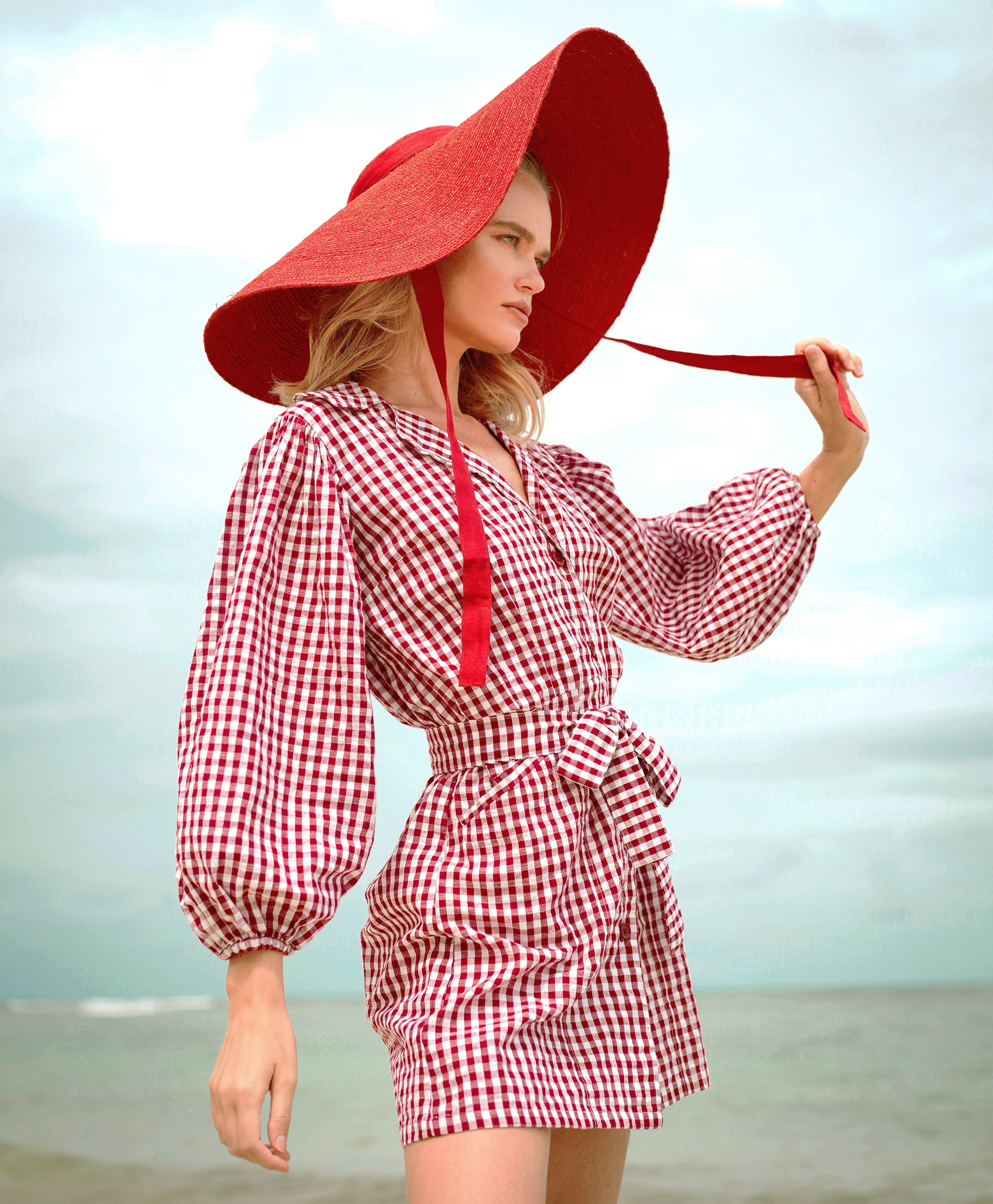 The Meghan Mini Gingham Dress