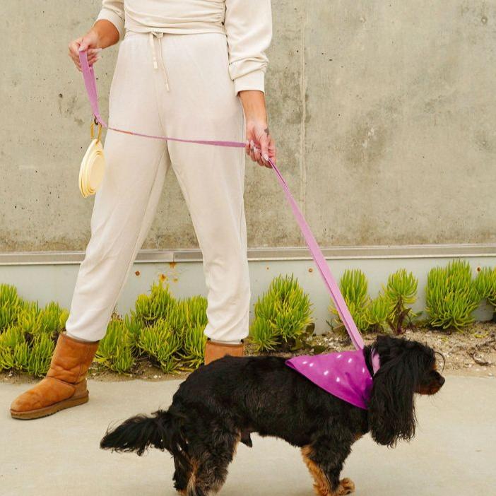 Hemp Cotton Dog Collar