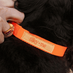 Hemp Cotton Dog Collar