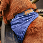 Hemp Cotton Dog Collar