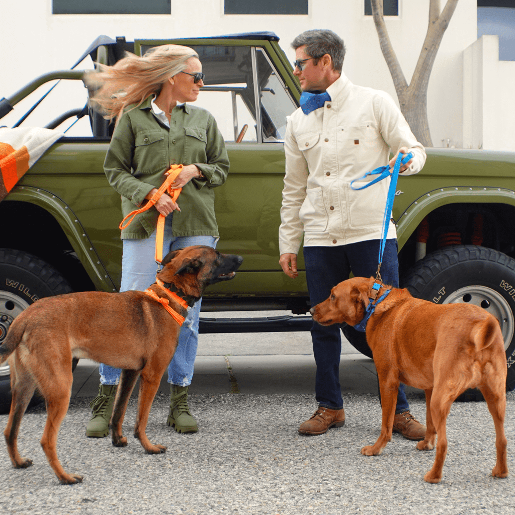 Hemp Cotton Dog Collar