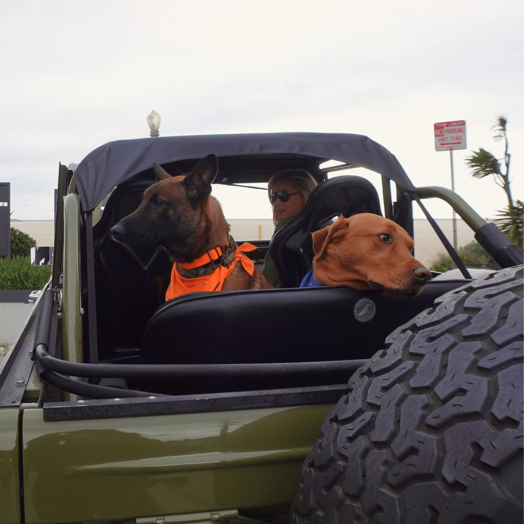 Hemp Cotton Dog Collar