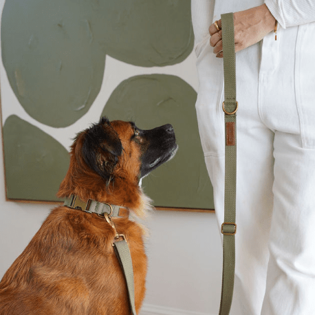 Hemp Cotton Dog Collar