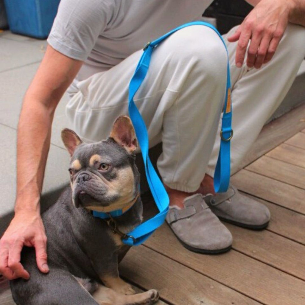 Hemp Cotton Dog Collar