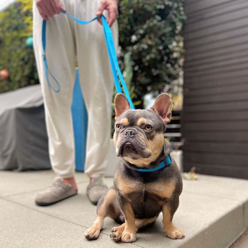 Hemp Cotton Dog Collar