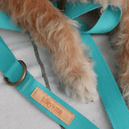 Hemp Cotton Dog Collar