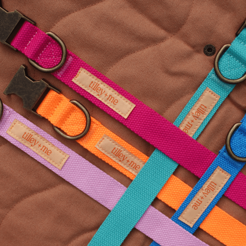 Hemp Cotton Dog Collar