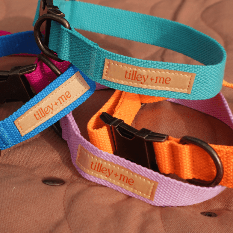 Hemp Cotton Dog Collar