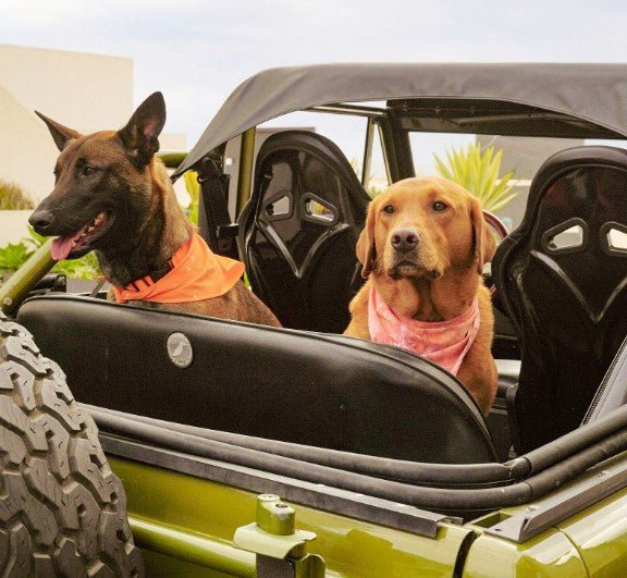 Hemp Cotton Dog Collar